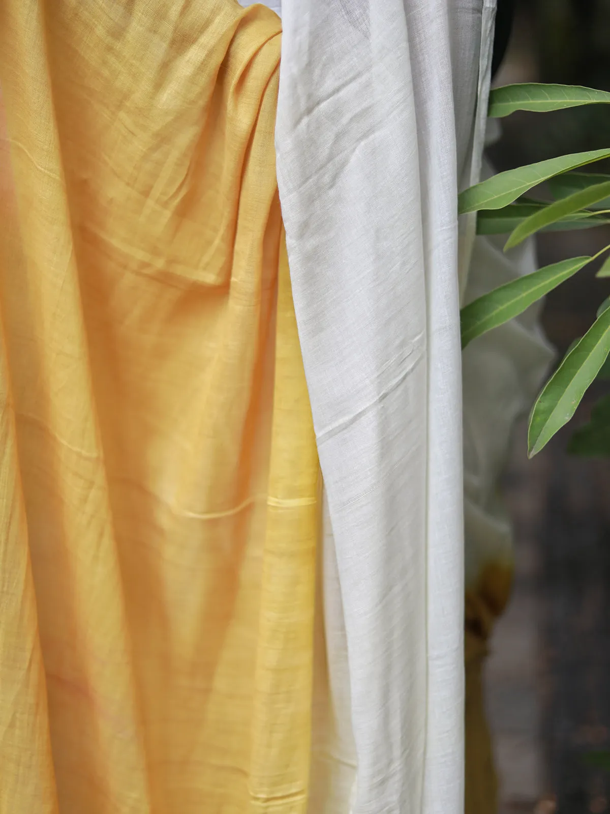 Sunehri Mul Cotton Saree